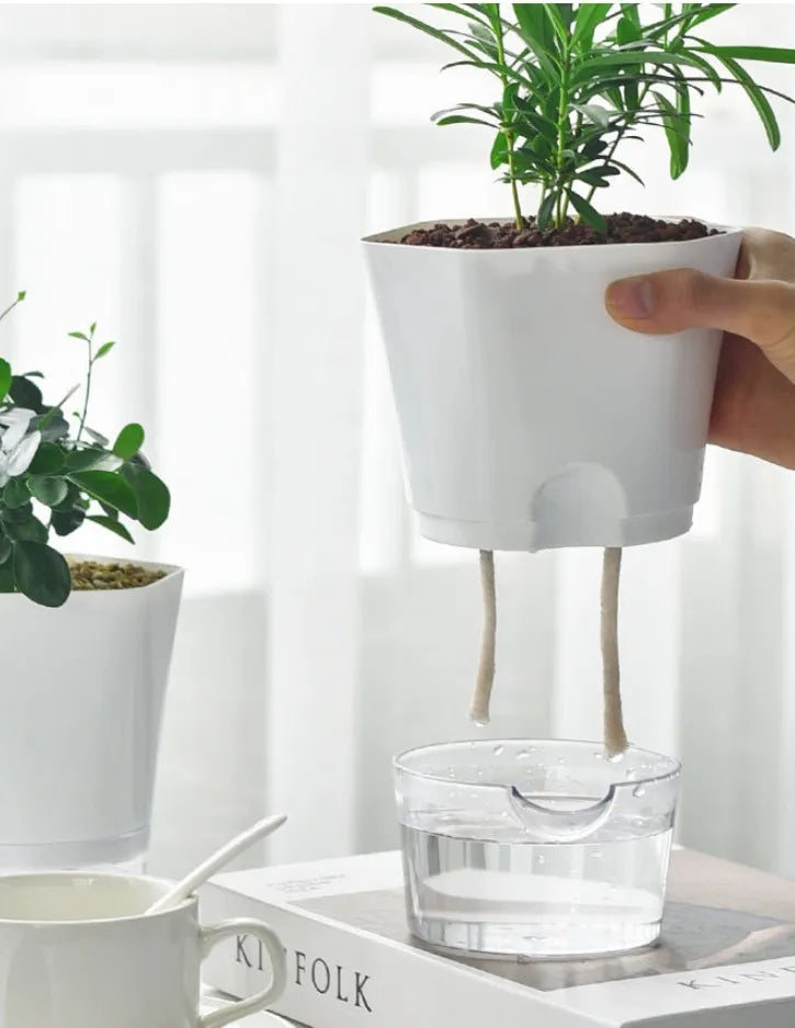 Plant pot with water reservoir – Self-watering flower pot for houseplants