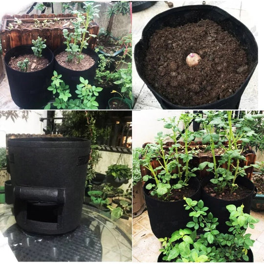 Breathable Magic Plant Bag — Awaken vibrant roots and harvest freedom with every grip!