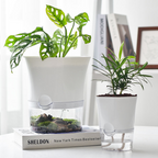 Plant pot with water reservoir – Self-watering flower pot for houseplants
