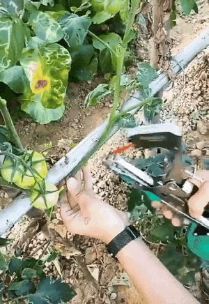 Plant Binder for Gardening