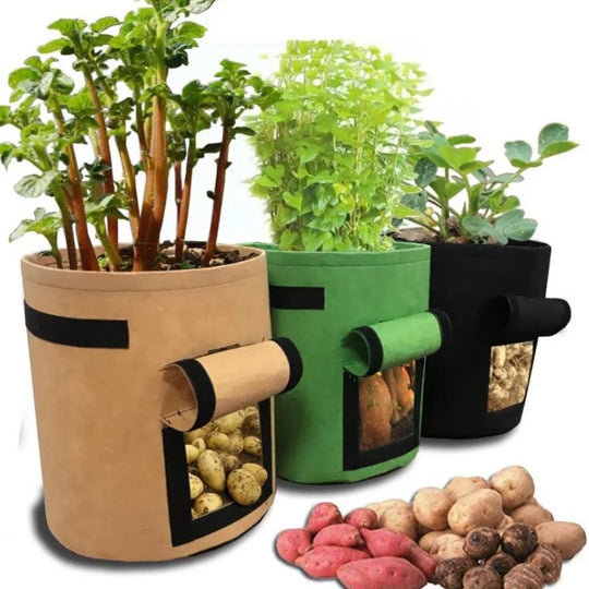 GrowMaster Pro — More power for your plants, so your harvest will amaze everyone!