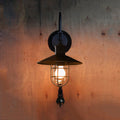 Black Einlicht wall lamp Industrial clear glass cage lighting fixture with adjustable pulley