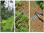 Powergrip-Hoe — Master Every Garden with Razor-Sharp Power and Comfortable Control!