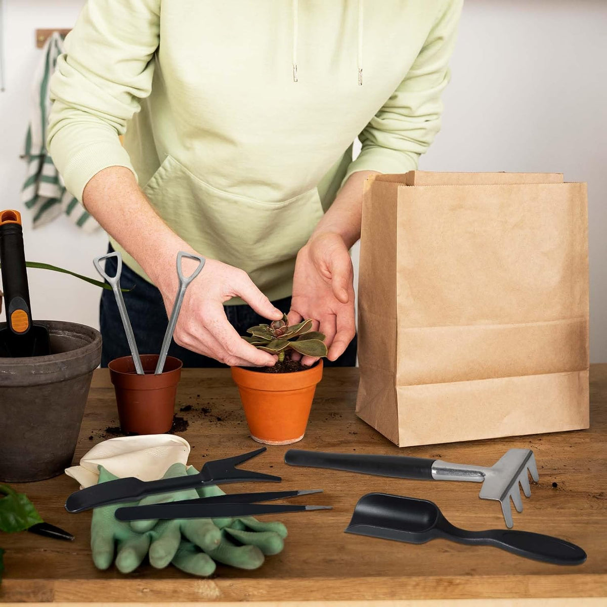 12-In-1 Succulent Tools Set with Storage Bag for Indoor Gardening