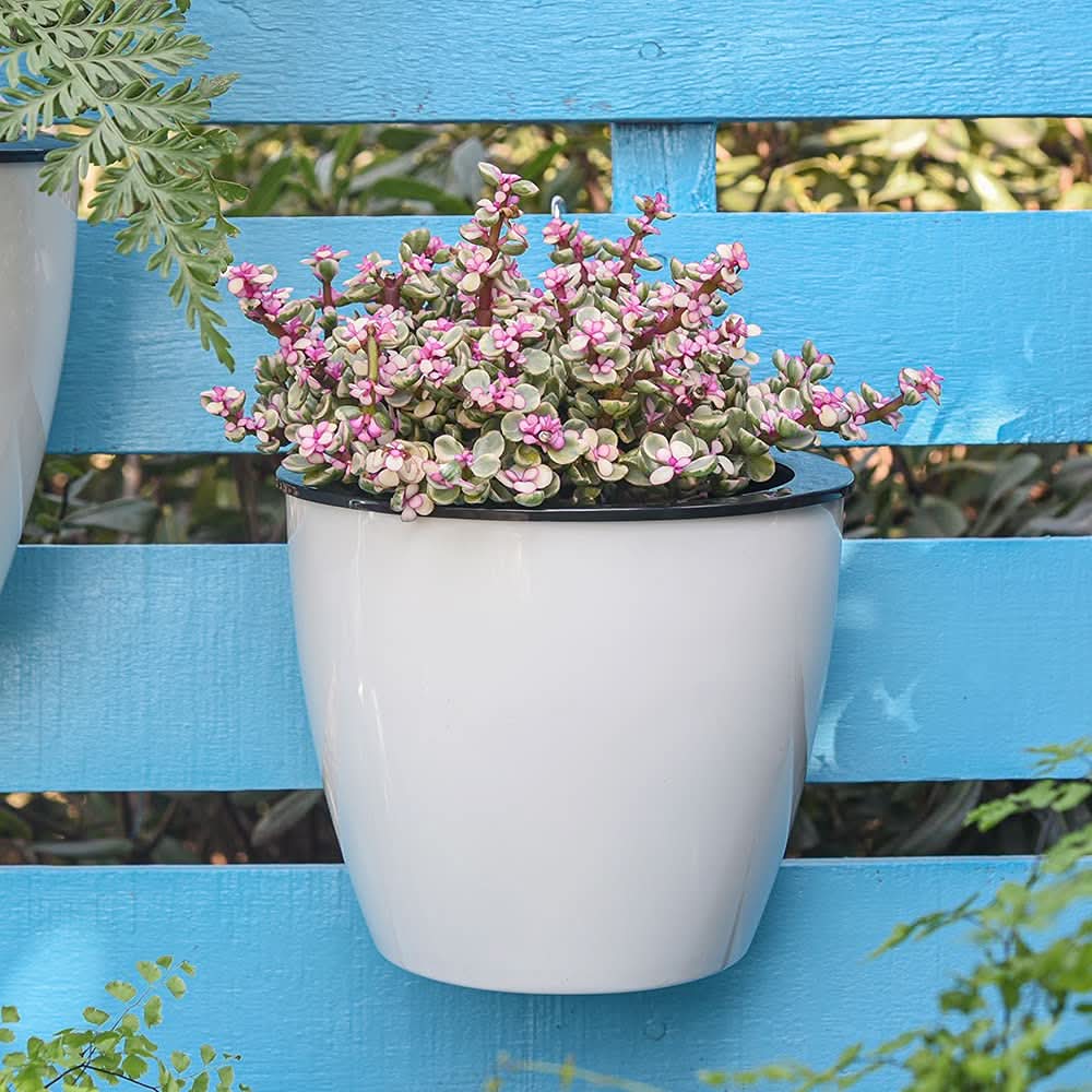 Garden Balance – The elegant self-sustaining flower pot for indoor & outdoor