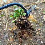 Woyuosn New Weeding Artifact Uprooting Weeding Tool