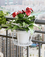 VerdaLift Plant Hanging Shelf — Finally rock-solid support for your balcony dreams