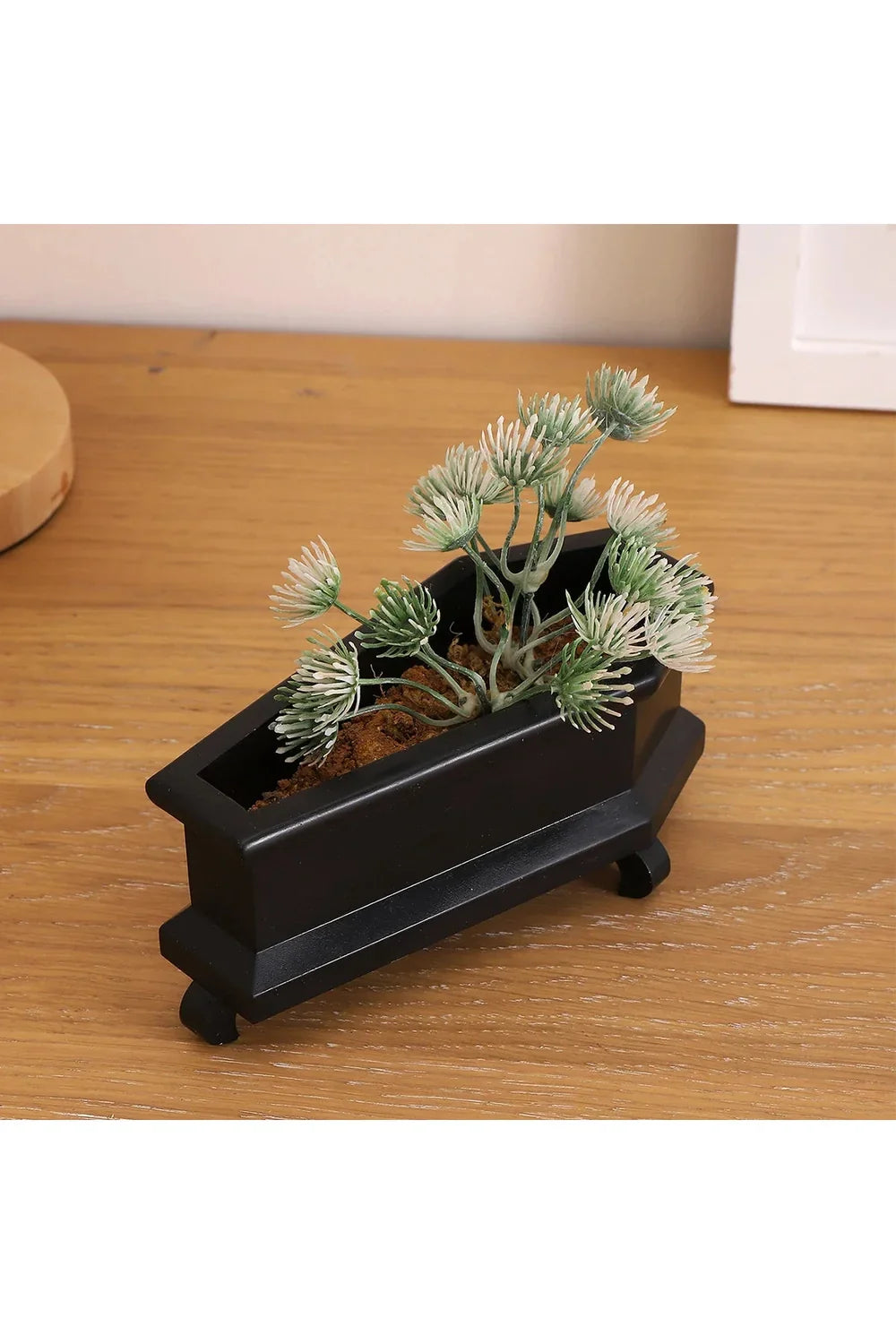 Coffin Plant Pot