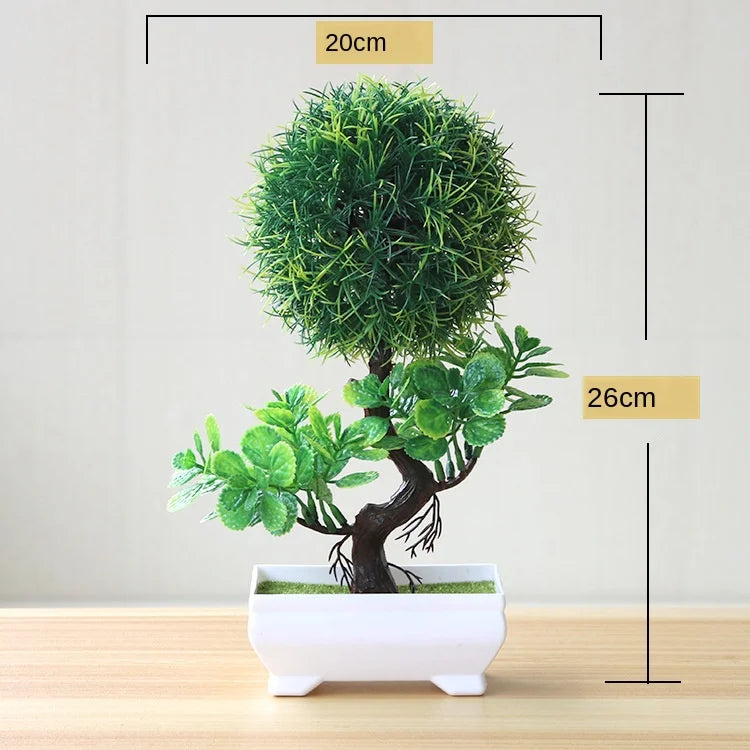 Small Tree Pot Bonsai Plants