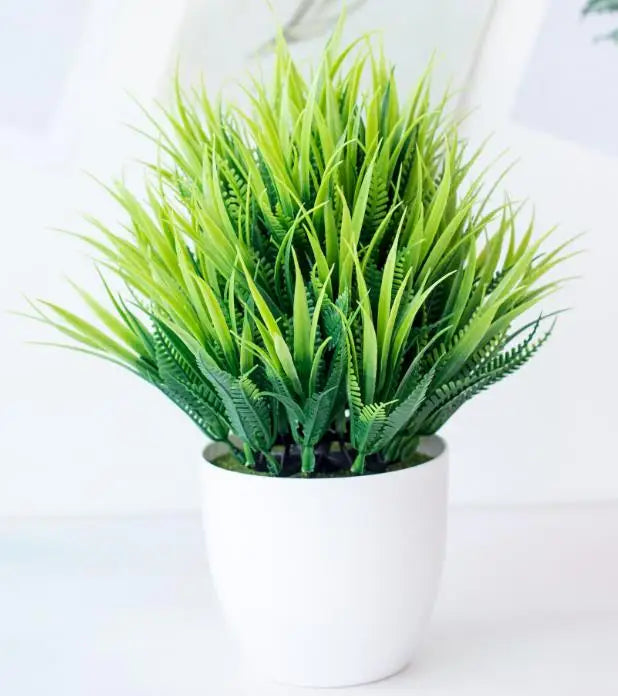 Small Tree Pot Bonsai Plants