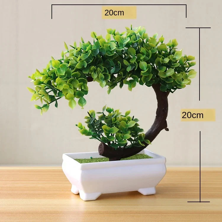 Small Tree Pot Bonsai Plants