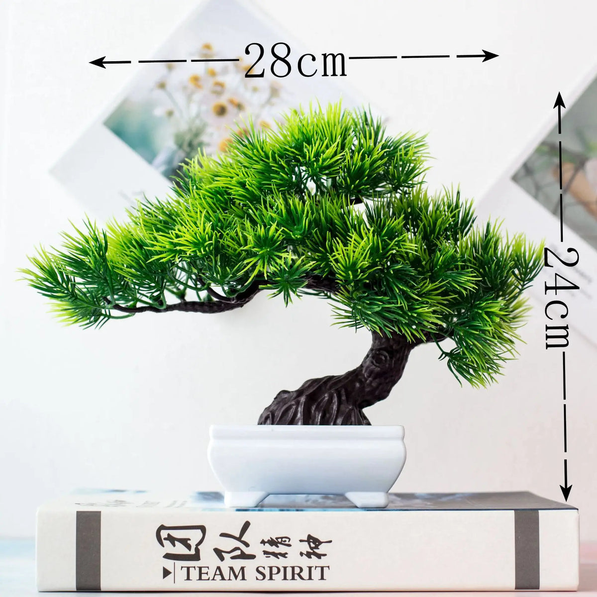 Small Tree Pot Bonsai Plants