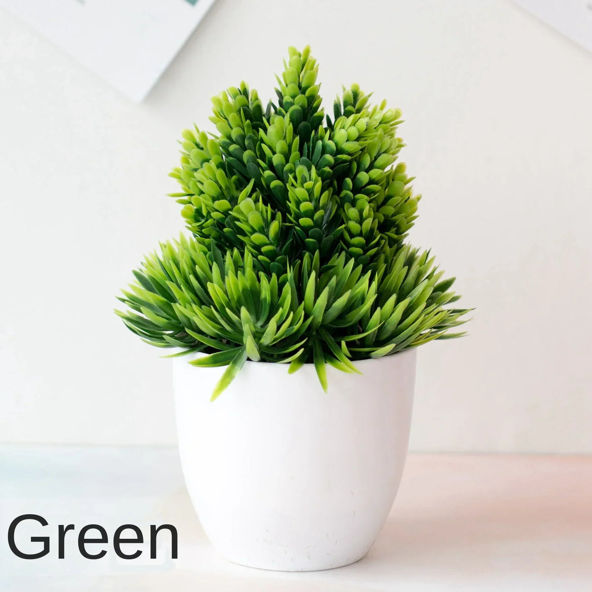 Small Tree Pot Bonsai Plants