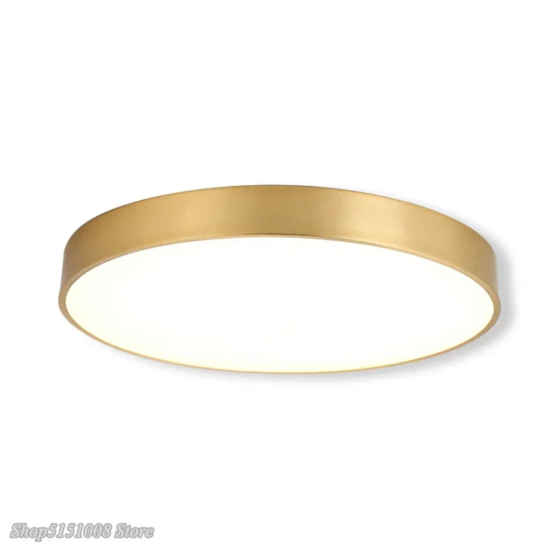 Modern Golden Acrylic Ceiling Lamp - Ultra-thin Surface LED Ceiling Lamp for Living Room, Nordic Bedroom Interior Lighting