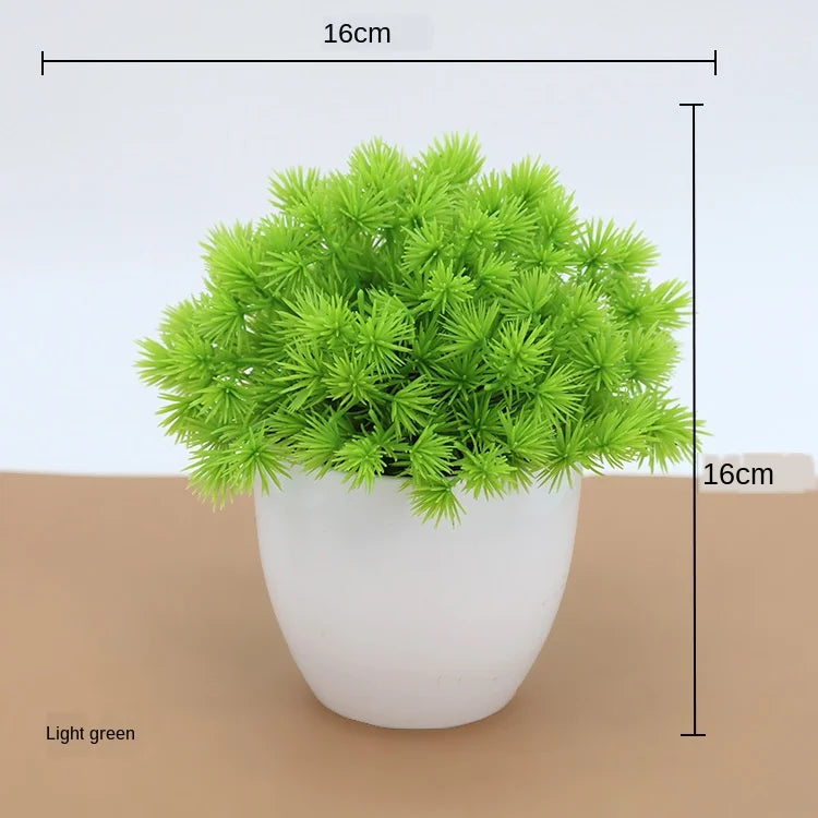 Small Tree Pot Bonsai Plants