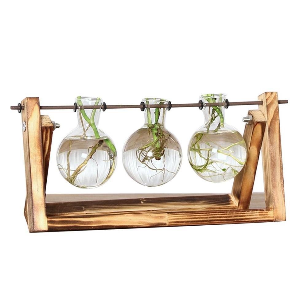 Fauna Plants Cuttings Pots | Grow your own plants at home