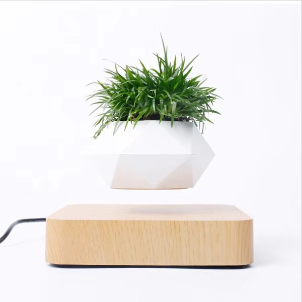 Magnetic Levitating Bonsai Planter, Floating Flower Pot for Home and Office Décor