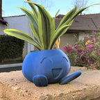 Plant Pot – Ceramic Flower Pot with Face for Small Plants