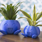 Plant Pot – Ceramic Flower Pot with Face for Small Plants