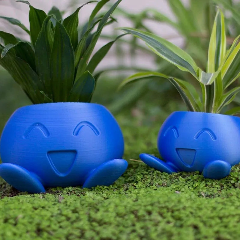 Plant Pot – Ceramic Flower Pot with Face for Small Plants