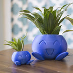 Plant Pot – Ceramic Flower Pot with Face for Small Plants