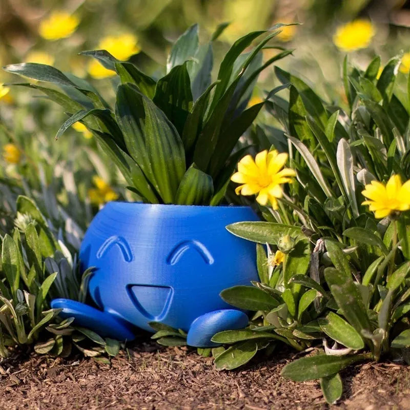 Plant Pot – Ceramic Flower Pot with Face for Small Plants