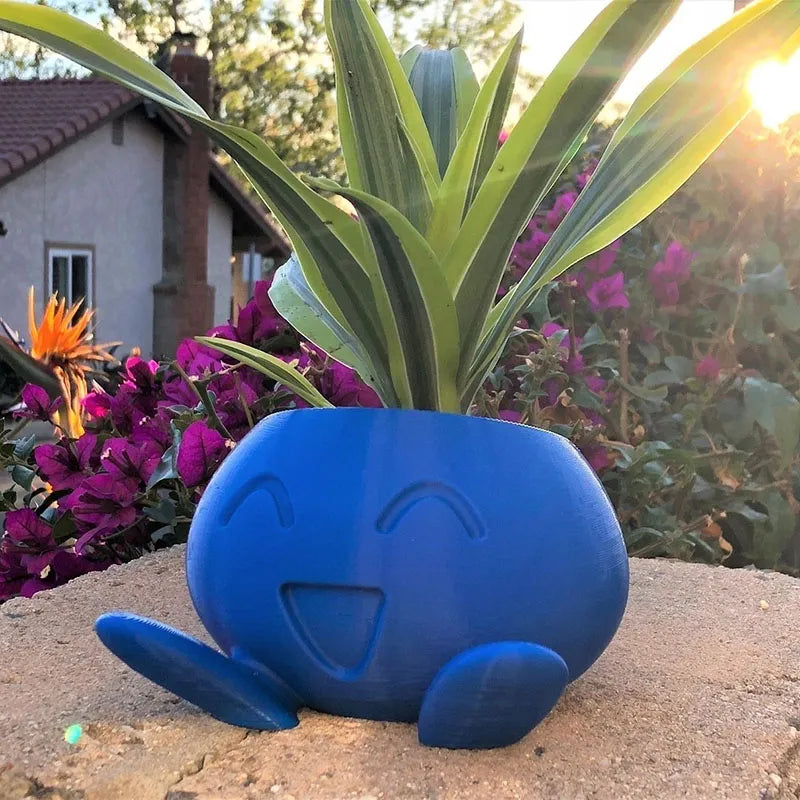 Plant Pot – Ceramic Flower Pot with Face for Small Plants