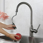 AquaStream Luxe – Adjustable Kitchen Faucet with Hand Shower
