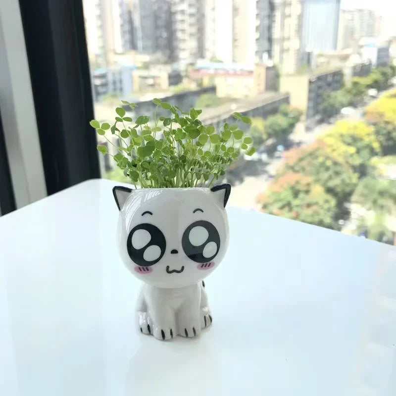 PurrPlant Mini Ceramic Pot | Cute Cat Design | For Desk & Decor