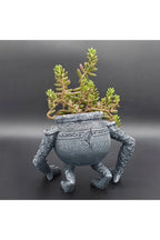 Jar-Garden planting pot