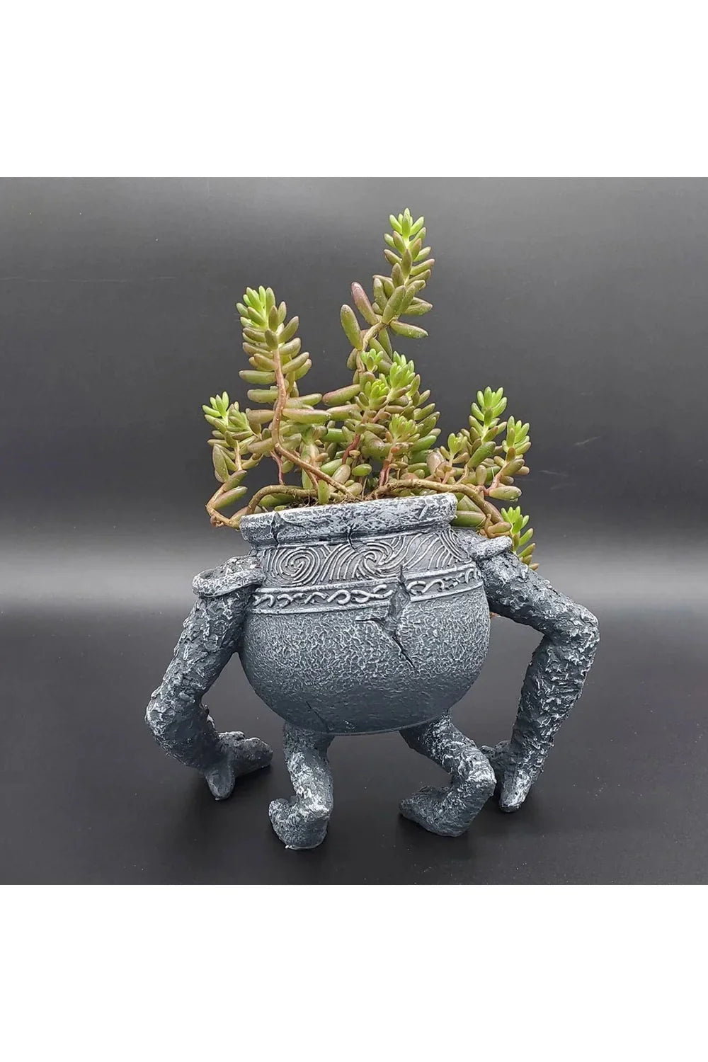 Jar-Garden planting pot