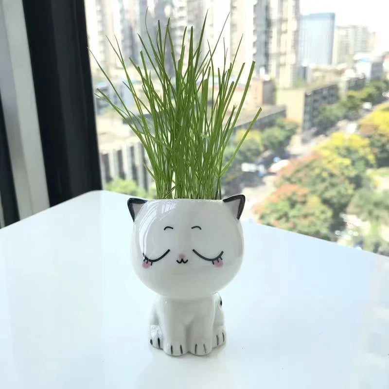 PurrPlant Mini Ceramic Pot | Cute Cat Design | For Desk & Decor