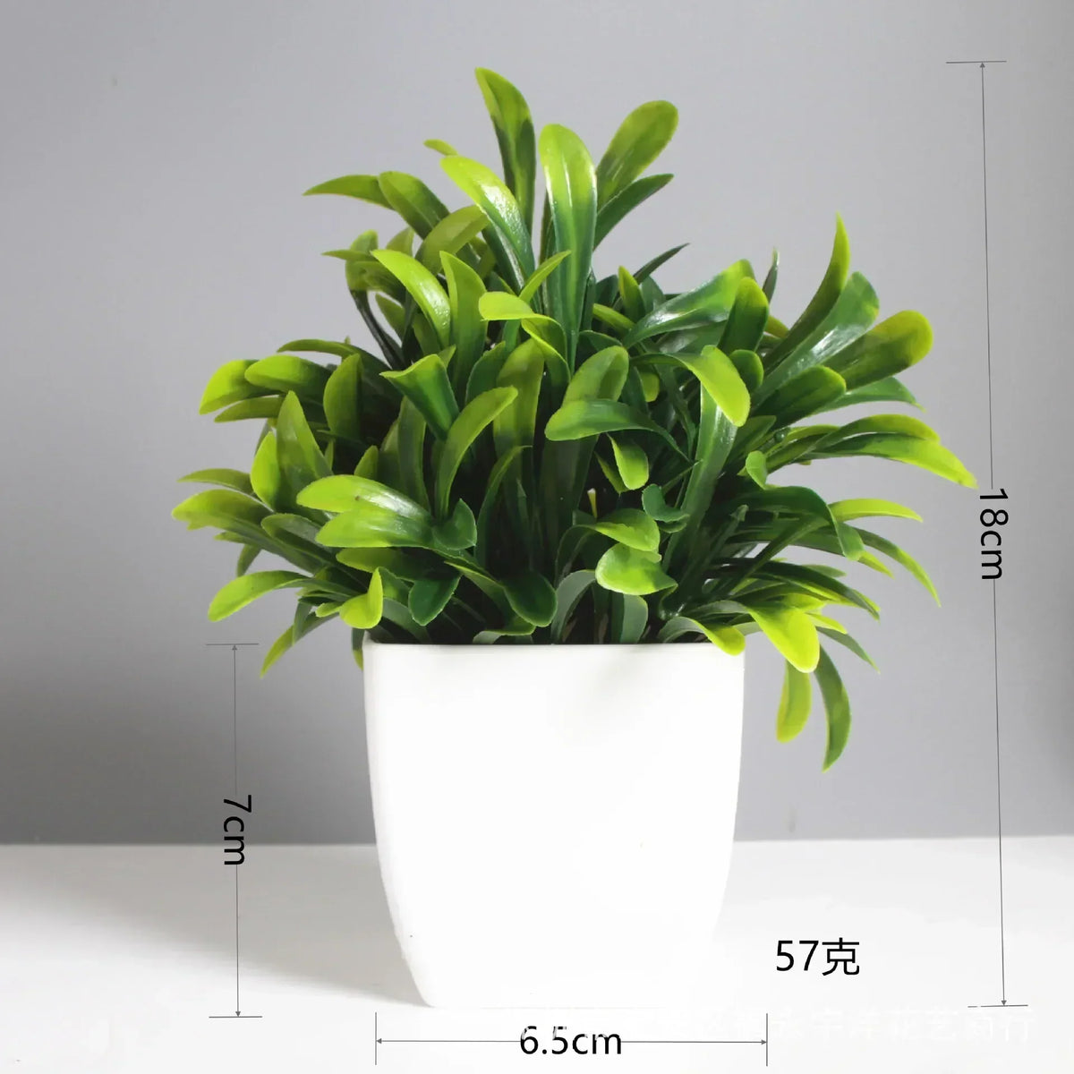 Everleaf Bonsai | Eucalyptus Design | Low Maintenance & Durable | Decorative