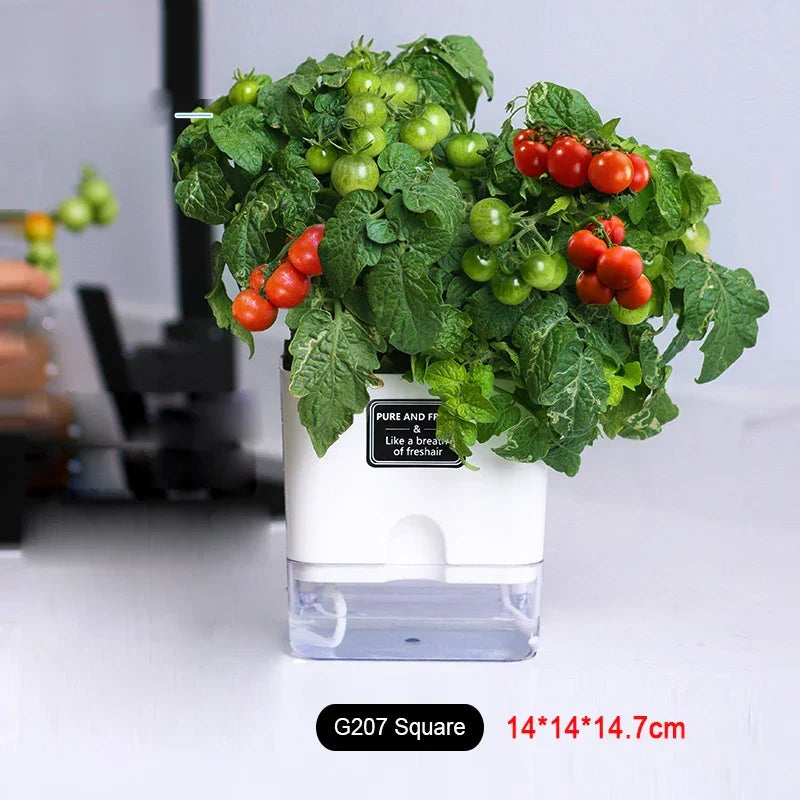 Plant Pot BloomEase | Self-Watering & Space-Saving | With Water Level Indicator | For Indoor Plants & Herbs