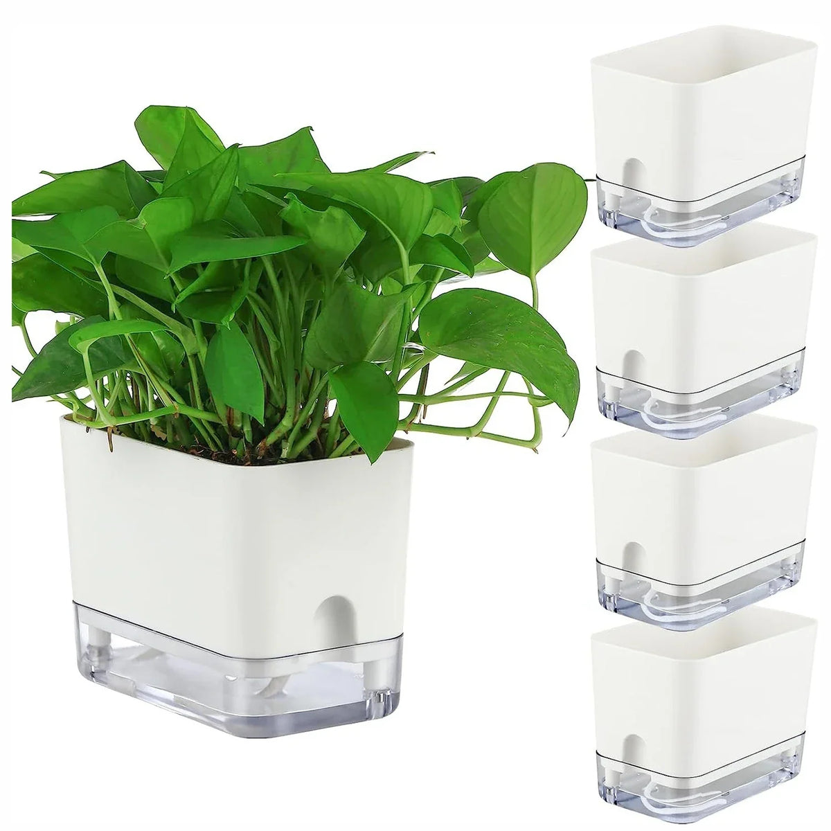 Plant Pot BloomEase | Self-Watering & Space-Saving | With Water Level Indicator | For Indoor Plants & Herbs