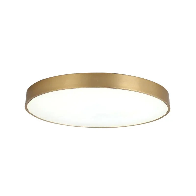 Modern LED Halogen Ceiling lamps - Simple golden round