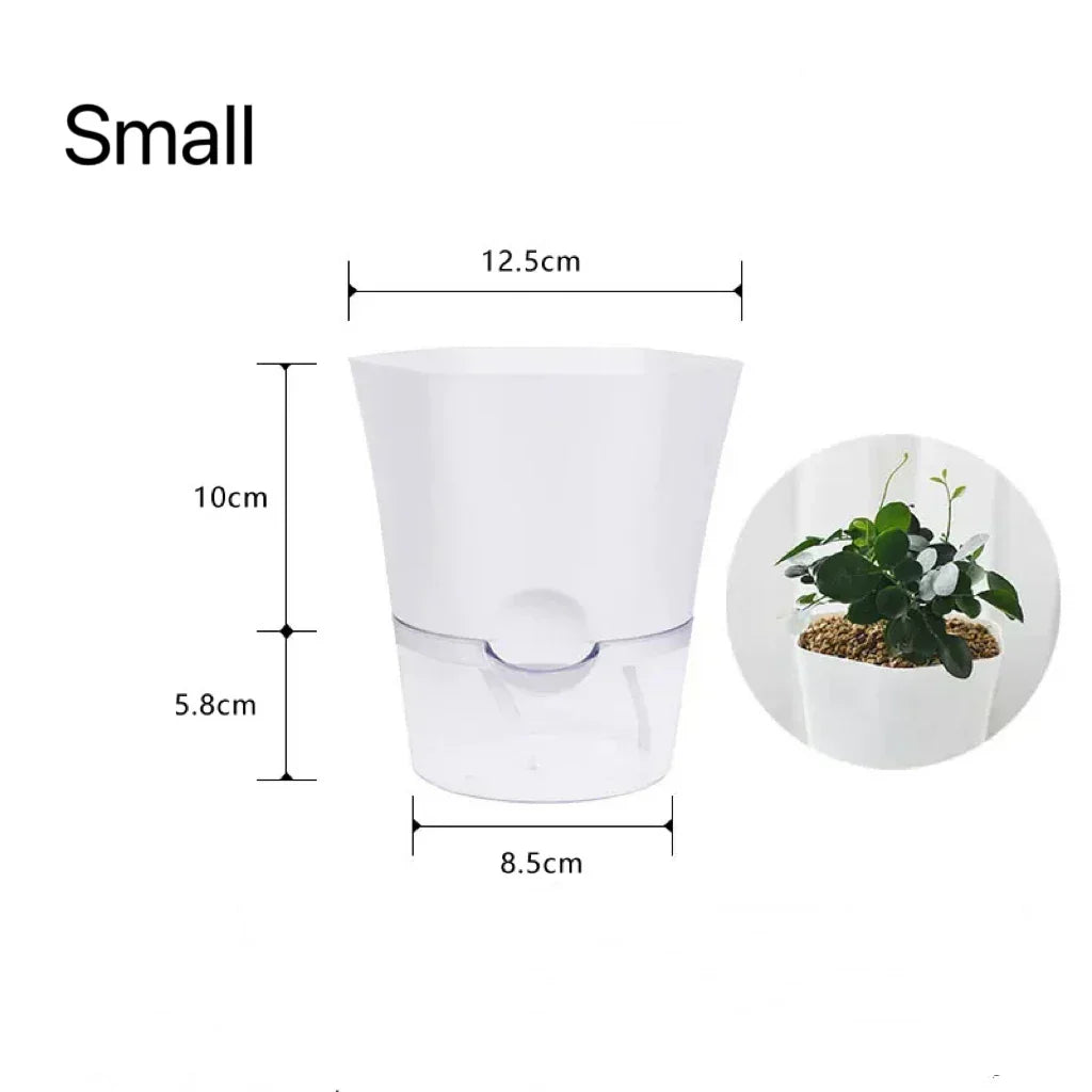 Plantilo Self-watering Flower Pot | Transparent | Automatic Water Supply | For Houseplants