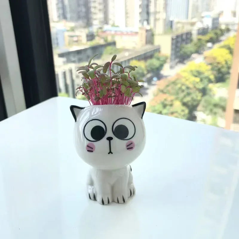 PurrPlant Mini Ceramic Pot | Cute Cat Design | For Desk & Decor