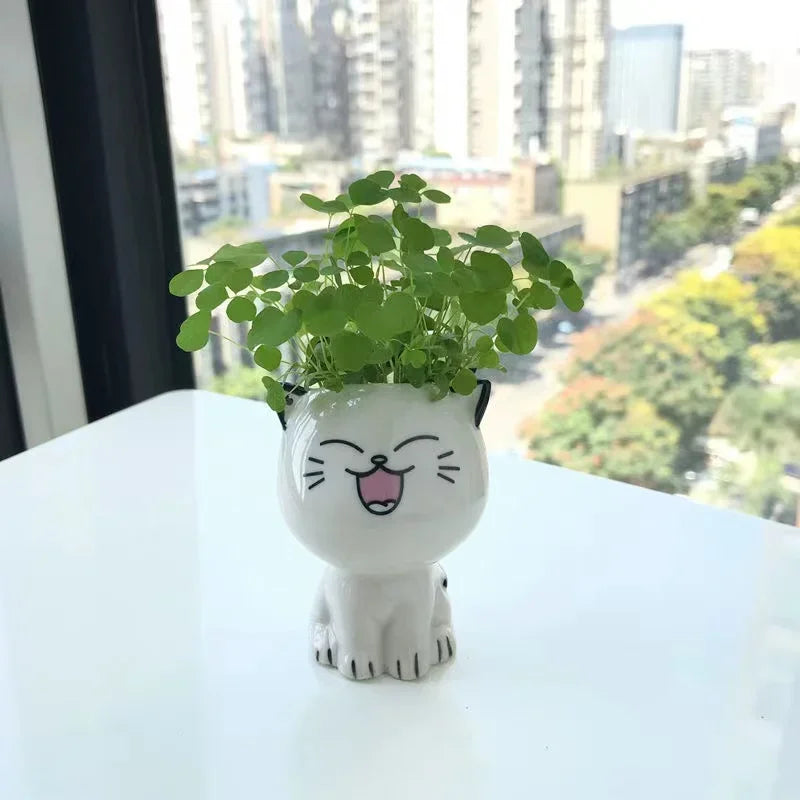 PurrPlant Mini Ceramic Pot | Cute Cat Design | For Desk & Decor