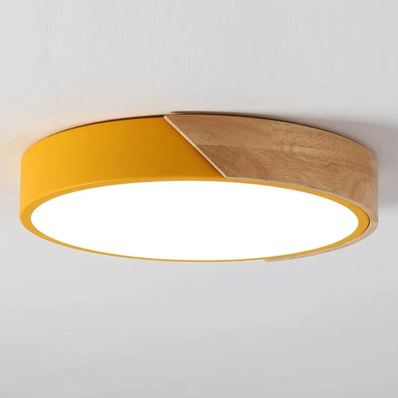 LED ceiling lamp for room decoration for bedroom, hallway, balcony, living room chandelier