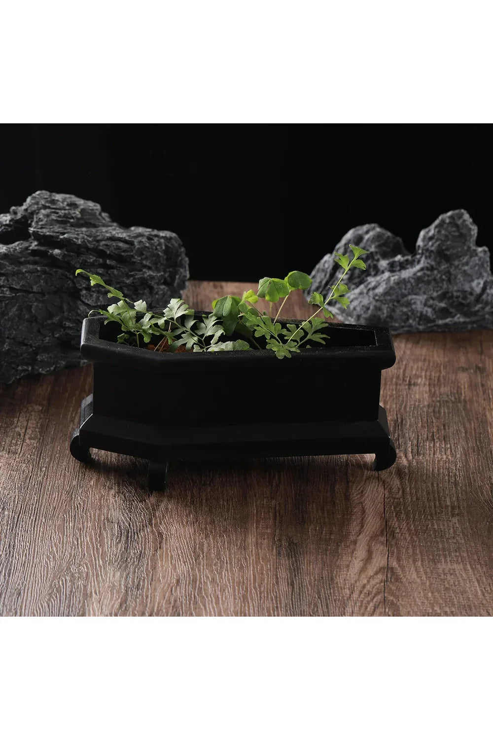 Coffin Plant Pot