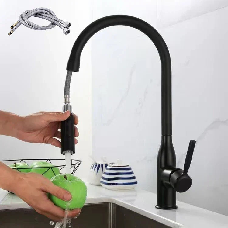 AquaStream Luxe – Adjustable Kitchen Faucet with Hand Shower