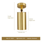 Modern Gold Spotlight Ceiling Lamp – Nordic Minimalist E27 LED Light for Living Room, Bedroom and Kitchen
