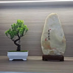 Floraviva Greenery | Artificial Plant | Low Maintenance & Realistic | Durable Plastic