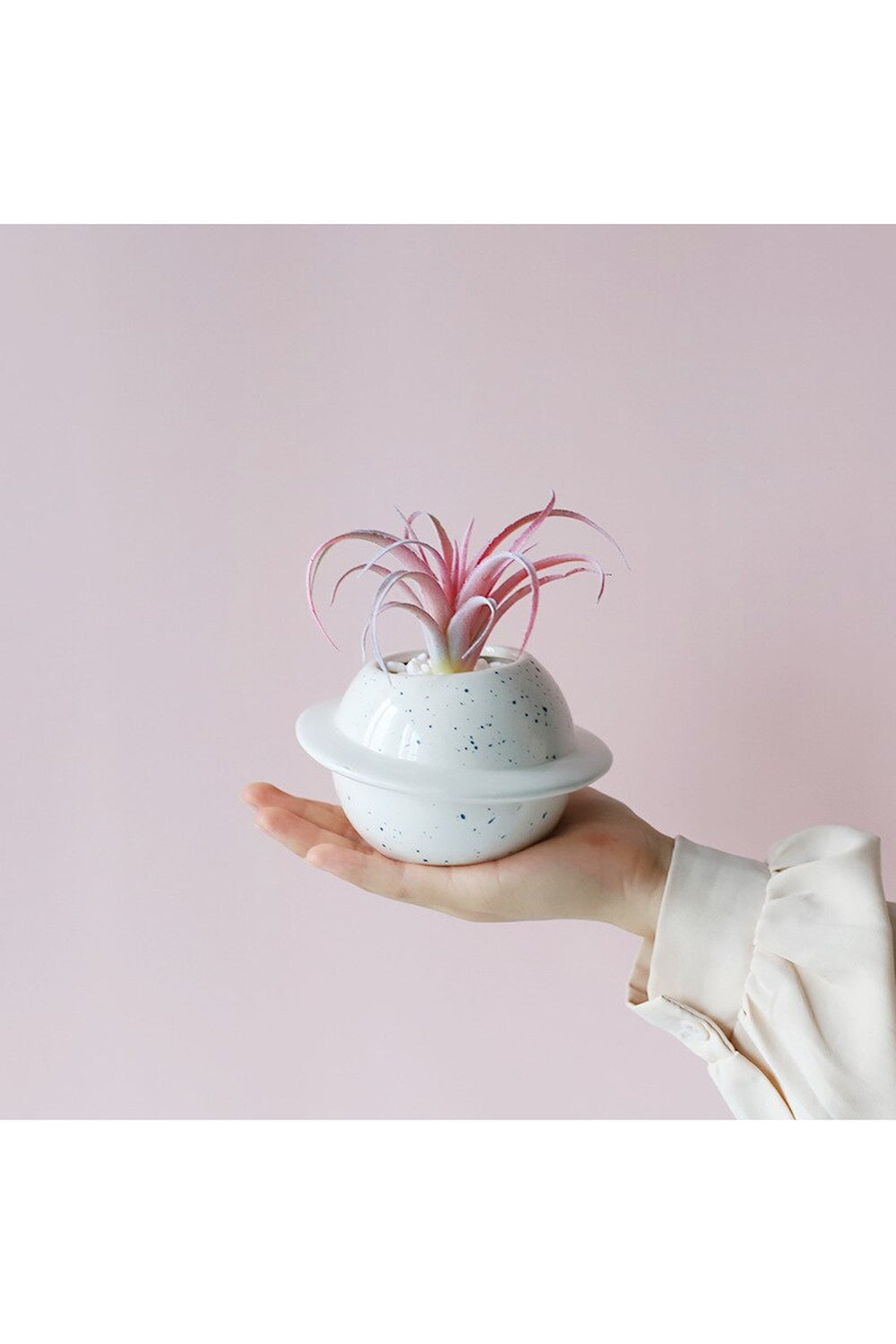 Motif ceramic pot for succulents