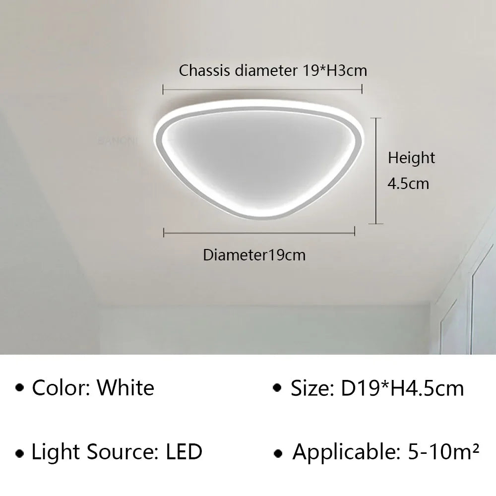Modern LED ceiling light - Elegant oval shape for versatile indoor lighting