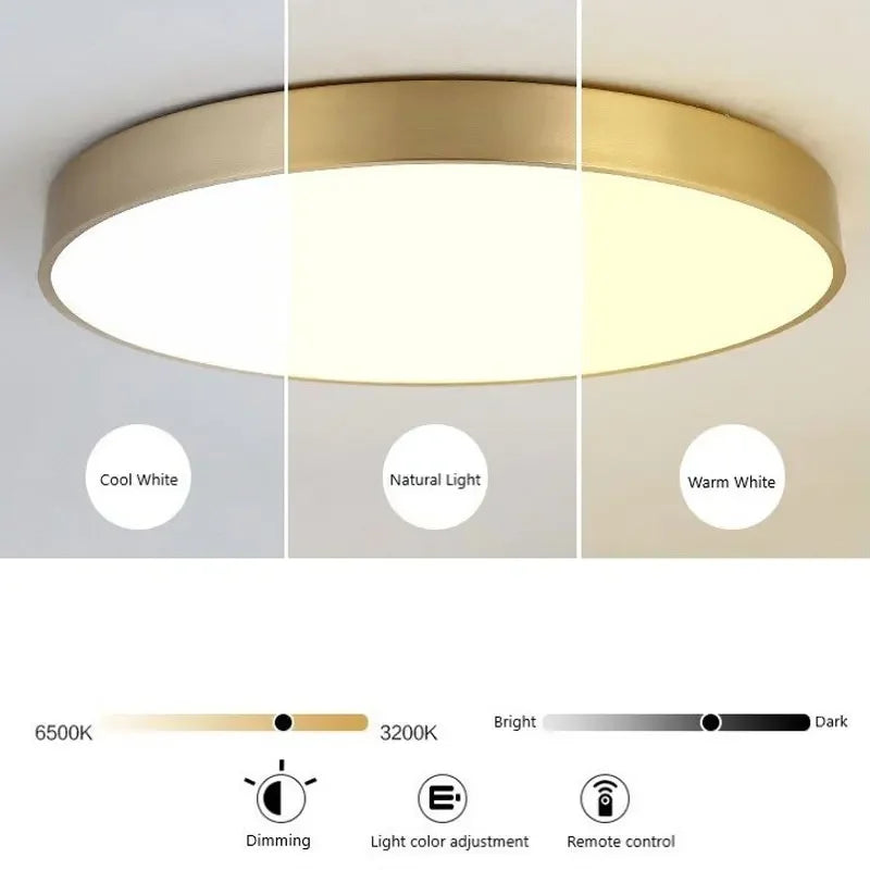 Modern LED Halogen Ceiling lamps - Simple golden round