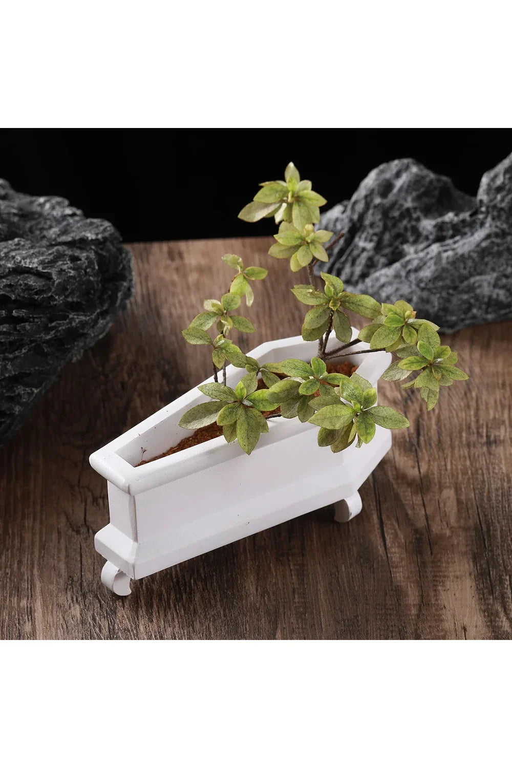 Coffin Plant Pot
