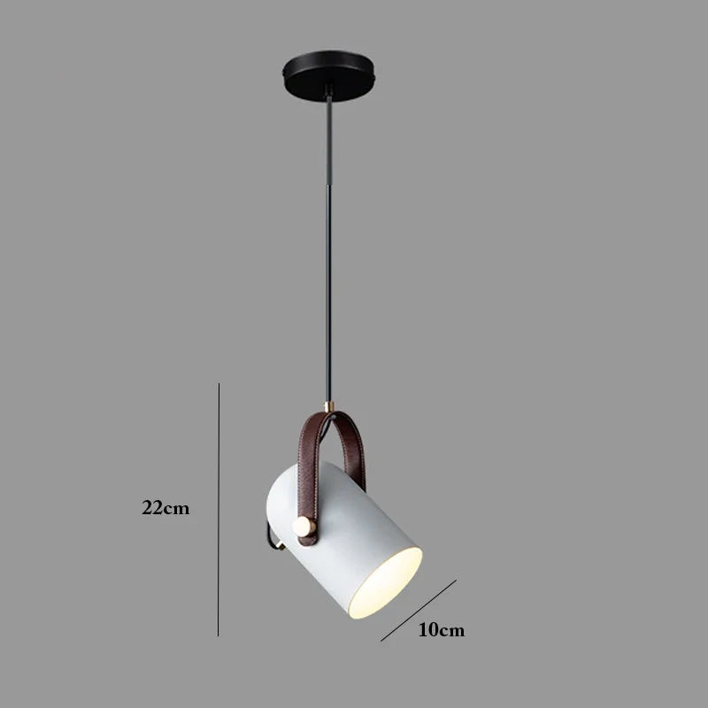 Modern swivel pendant lamp – Adjustable metal pendant lamp for bedroom, living room, dining room or kitchen