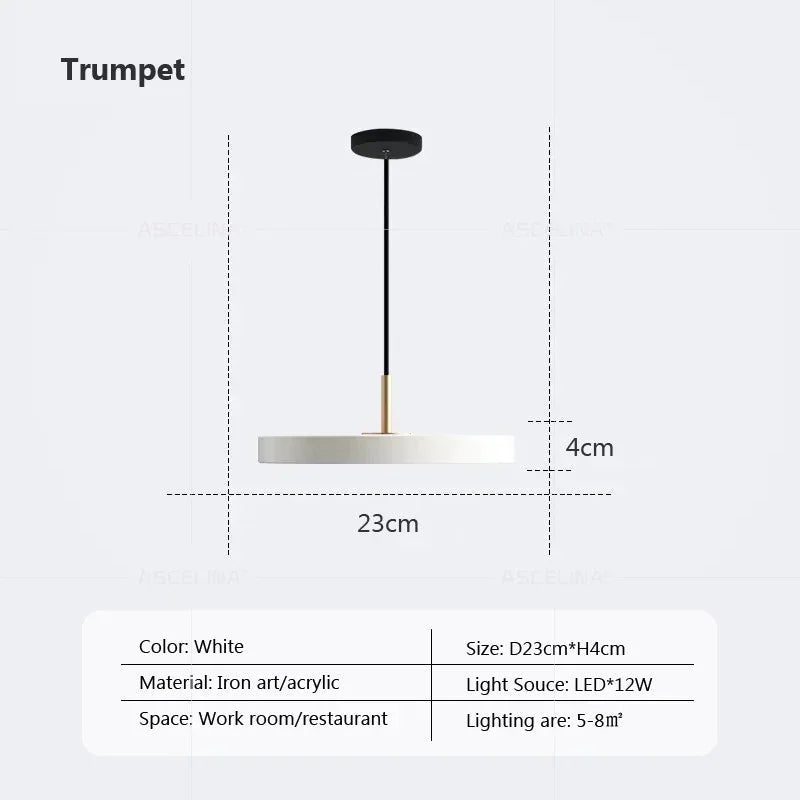 Modern LED pendant lamp – 23/30 cm disc pendant lamp for bedroom, living room, office entrance – dimmable LED ceiling lamp